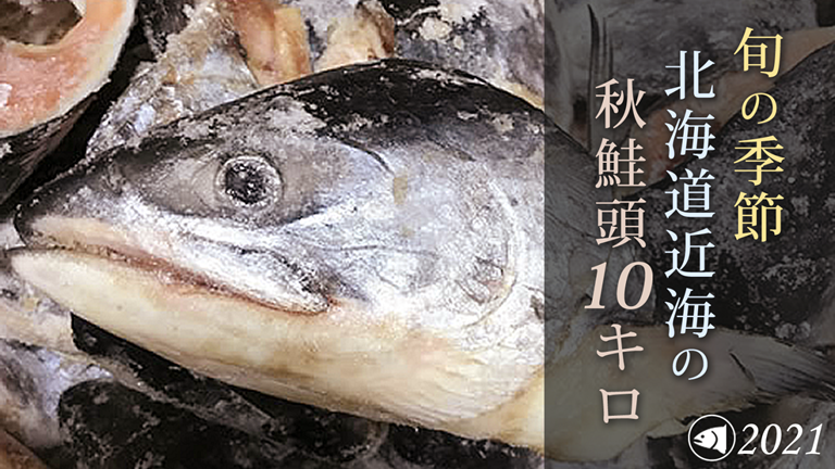 マクアケ秋鮭頭