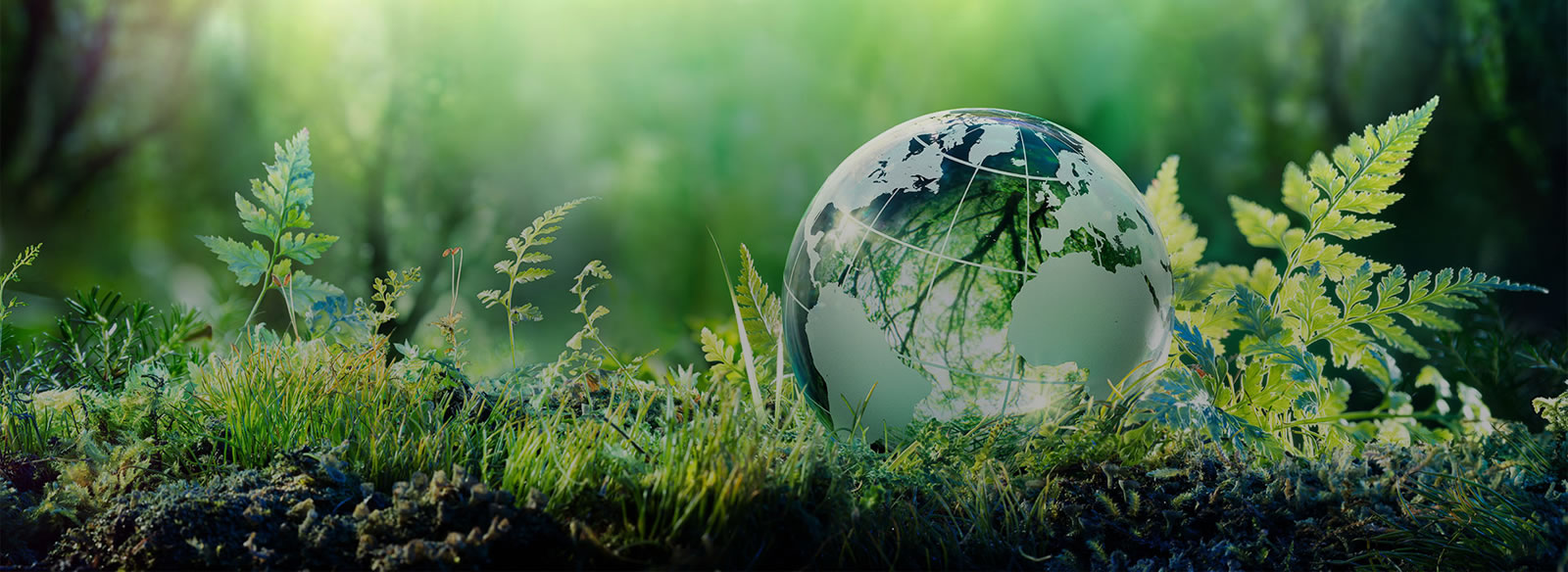 タイトル背景画像